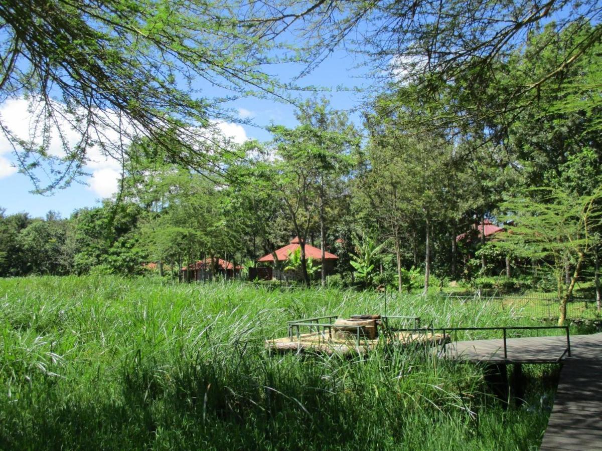Kiboko Lodge Usa River Exterior photo
